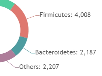 Illustration for data dashboard